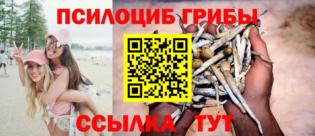 Псилоцибиновые грибы MAGIC MUSHROOMS Ирбит