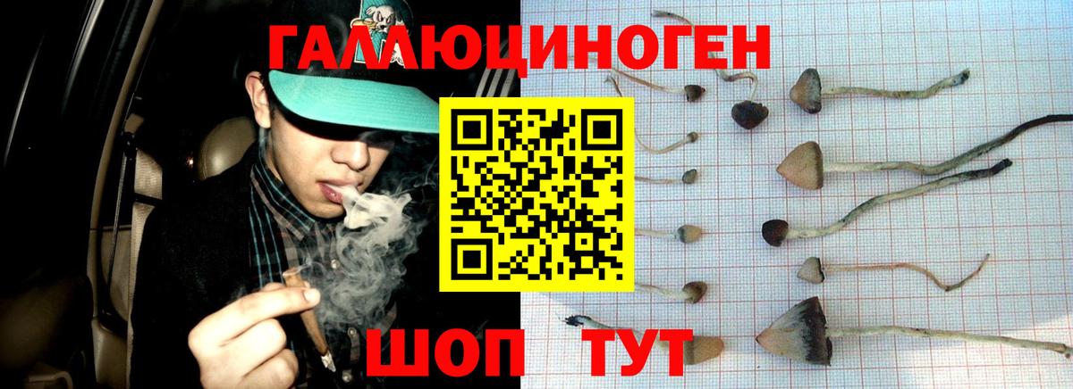 Псилоцибиновые грибы мухоморы  Вход с VPN  Ирбит 