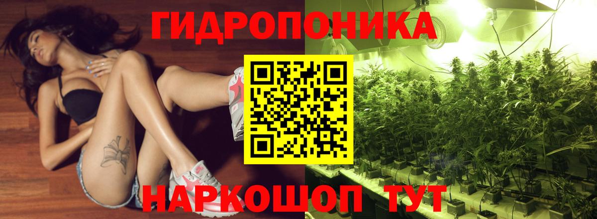 Бошки Шишки конопля  Вход с VPN  Бошки Шишки тримм  Ирбит  Канабис White Widow  МАРИХУАНА Ganja 